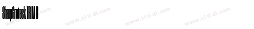 SharpGrotesk TRIAL B字体转换 SharpGrotesk TRIAL B字体转换